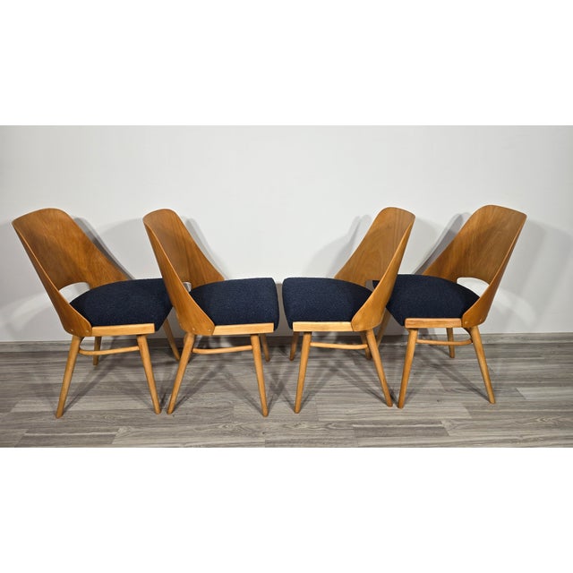 Dining Chairs by Radomir Hoffman for Ton, 1950s, Set of 4 For Sale - Image 4 of 15