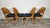 Dining Chairs by Radomir Hoffman for Ton, 1950s, Set of 4 For Sale - Image 4 of 15