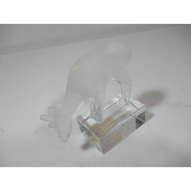 Lalique Deer Crystal Figurine For Sale - Image 12 of 13