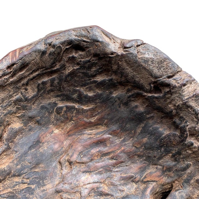 Massive Burl Wood Bowl For Sale - Image 10 of 12