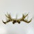 Vintage Home is pleased to offer this stunning antique-gold finished faux antler wall hook. The design has six hooks of...