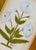 This beautiful white floral motif painting draws inspiration from the iconic designs of Jaipur, India, seen gracing the...