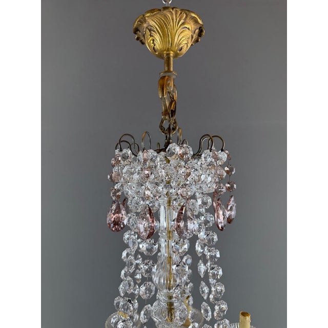 Glass 20th Century Louis XV Crystal and Bronze Chandelier with Pendants For Sale - Image 7 of 13