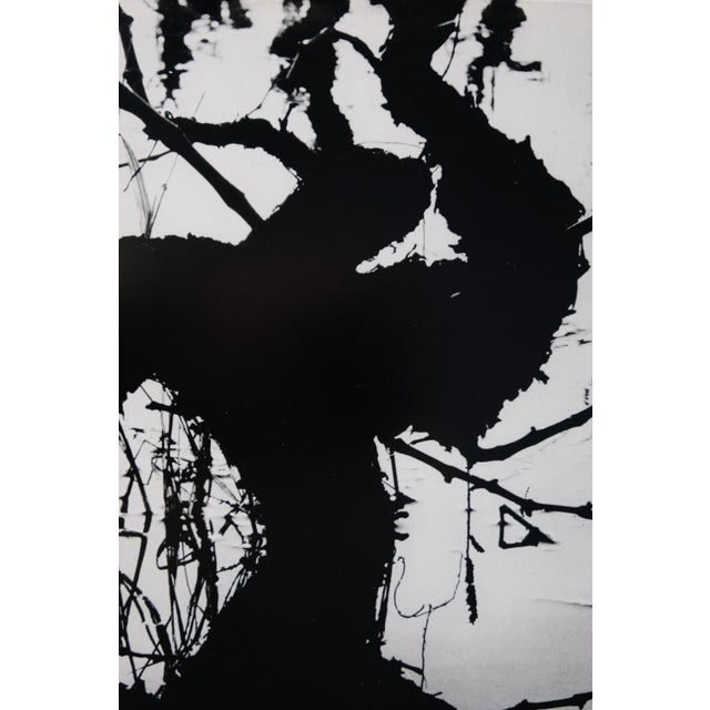 Lucien Clergue, Secret Camargue, 1960, Heliogravure For Sale - Image 5 of 7