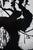 Lucien Clergue, Secret Camargue, 1960, Heliogravure For Sale - Image 5 of 7