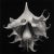 Contemporary 48" X 48" - Art Wall Installation 'Brugmansia Flowers' - Set of 4 - Limited Edition Botanical Photograph Prints For Sale - Image 3 of 7