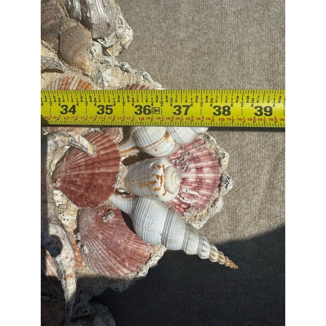 Currey and Company Stunning Large Natural Seashell Framed Mirror For Sale - Image 10 of 12