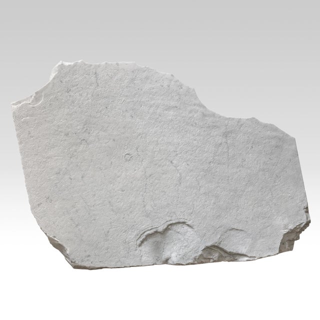Sculptural Marble Coffee Table, 2010s For Sale - Image 3 of 4