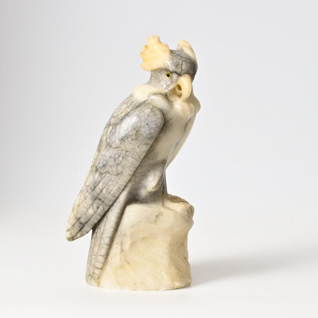 Art Deco Carved Alabaster Sculpture of Cockatoo, 1930s For Sale - Image 12 of 12