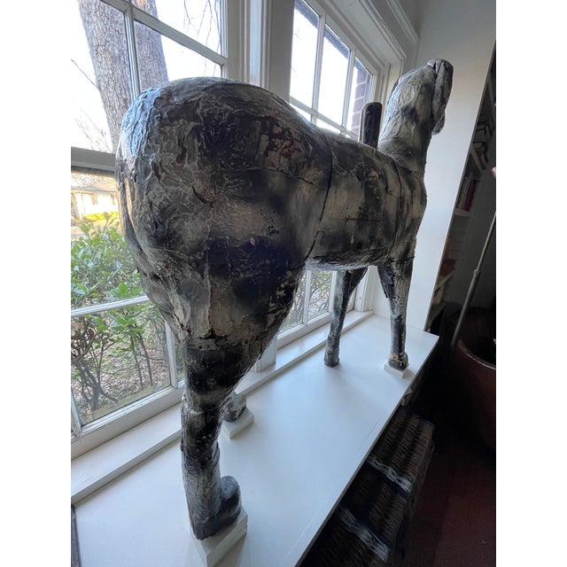 Antique French Carousel Dog, Circa 1890 For Sale - Image 16 of 18