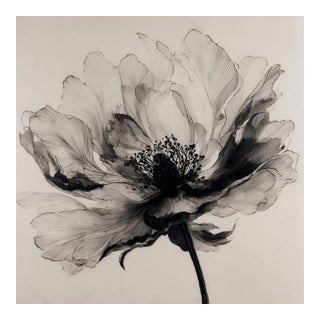 Vintage Botanical Flower – Fine Art Print After an Original 1980 Ink Drawing For Sale