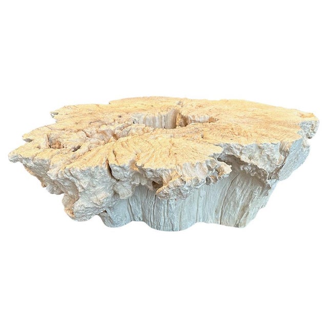 It took more than a century for this beautiful erosion detail to form. The unique size and detail are rare to source. This...