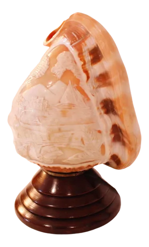 Neapolitan Cameo Carved Conch Shell (Lamp)