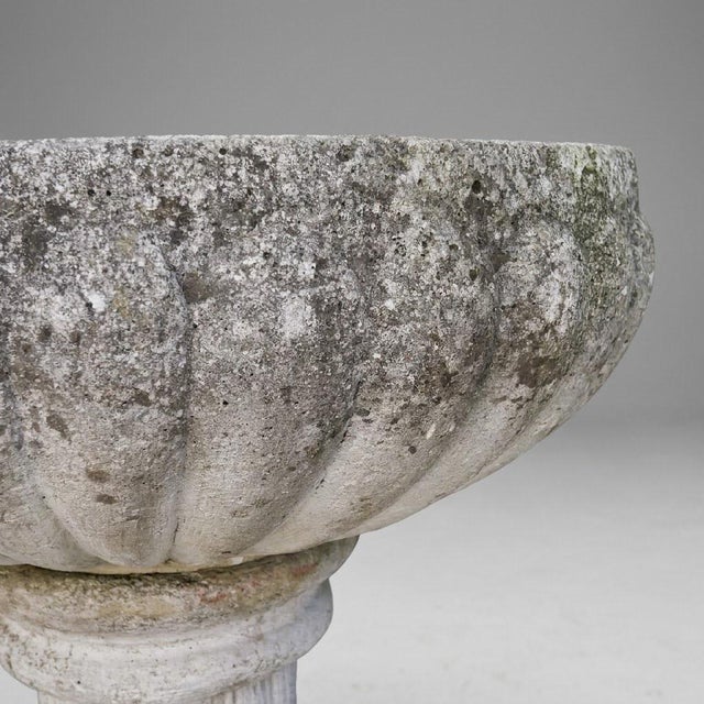 Neoclassical Garden Basin in Reconstituted Stone, 1960s For Sale - Image 4 of 6