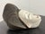 African Punu-Style Carved Wood Mask For Sale - Image 4 of 12