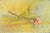 1990s Lea Monetti, The Winter Rose Egg, 1990s, Tempera Painting For Sale - Image 5 of 5