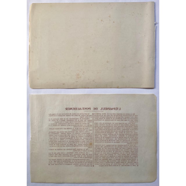 Illustration 1907 French Photogravure Print of “L'Epagneul De Pont-Audemer” Hunting Dogs - For Sale - Image 3 of 3