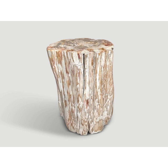 2010s Andrianna Shamaris Coral Toned Ancient Petrified Wood Side Table For Sale - Image 5 of 5