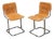 Calla Chairs by Antonio Ari Colombo for Arflex, 1970, Set of 2 For Sale