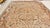 Antique Mahal Rug, Handmade Oriental Rug, Pale Green, Rust and Navy Blue For Sale - Image 10 of 18