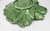 Mid-Century Set of 6 Green Cabbage Luncheon Plates by Secla Portugal For Sale - Image 18 of 18
