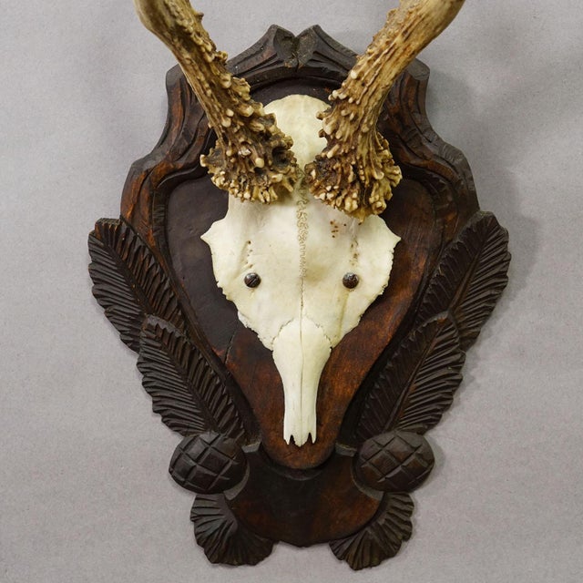 Antique Black Forest Red Deer Trophy on Carved Plaque Ca. 1930s For Sale - Image 4 of 5
