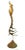 1970s Mid-Century Modern Hand Carved Bird of Paradise For Sale