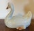 Antique 19th Century Chinese Export Porcelain Wall Pocket Vase in the Form of a Duck For Sale In New York - Image 6 of 12