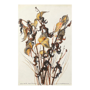 1973 Jean Charles Faucher Botanical Still Life Watercolor