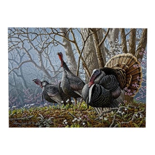 Larry Zach 1995 Arkansas Turkey Stamp, Print and Coa ~ HTF For Sale