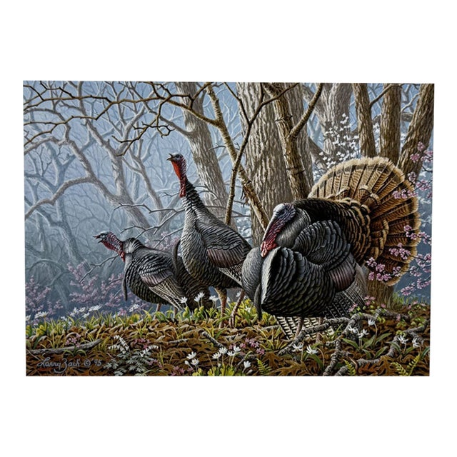 Larry Zach 1995 Arkansas Turkey Stamp, Print and Coa ~ HTF For Sale