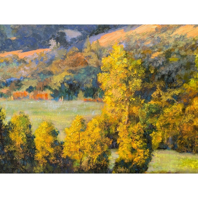 Nancy Paris Pruden "Sonoma Sunset" Contemporary Naturalistic Mountain Landscape Nature Painting, 2020s For Sale - Image 10 of 11