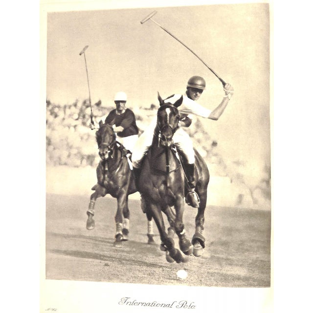 "International Sport Polo" 1931 Stock, Alphons For Sale - Image 9 of 12