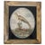 Antique 18th Century English George III Needlework of an Exotic Bird in Original Gilt Wood Frame For Sale - Image 11 of 11