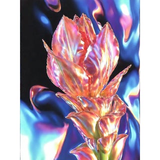 Ian Jones, Glass Amaranth 1, Archival Pigment Print For Sale