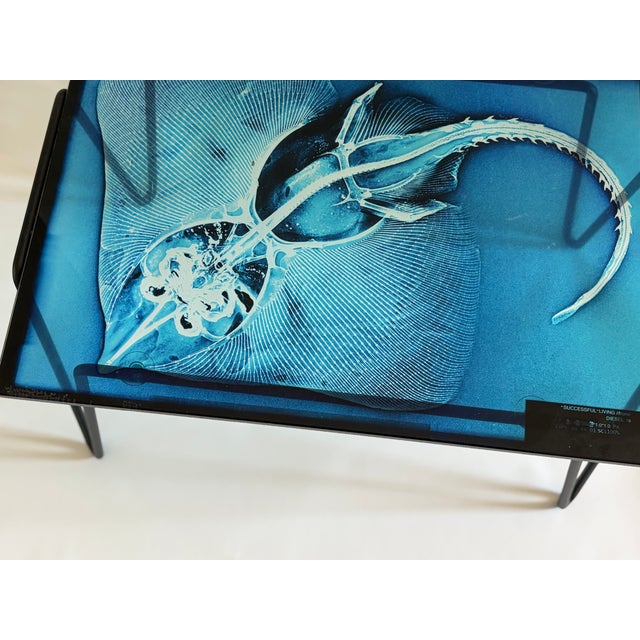 Metal Xraydio 1 Razza Side Table in Glass and Black Raw Steel by Moroso for Diesel, 2010s For Sale - Image 7 of 8