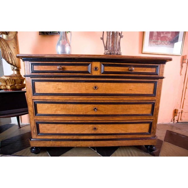 2000 - 2009 Antique Chest of Drawers, 19th Century For Sale - Image 5 of 5