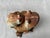 Vintage Cast Iron Frog Doorstop Garden Ornament For Sale - Image 11 of 12