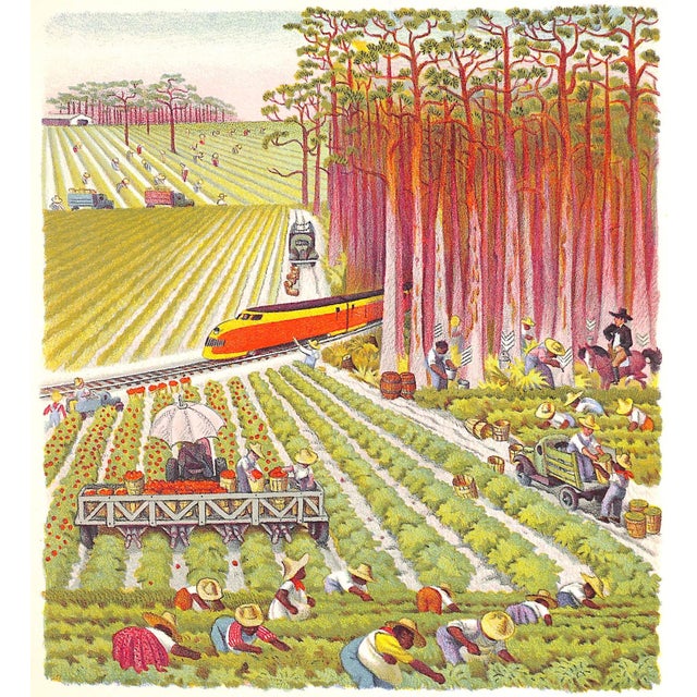 White "The Story of Florida" 1947 McNeer, May [Text By] For Sale - Image 8 of 12