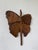 Antique Butterfly Wall Decorations, 1900s, Set of 2 For Sale - Image 4 of 18