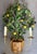 Mid 20th Century Hollywood Regency Italian Lemon Tole Tree Iron Wall Sconce W/ Bamboo Pot For Sale In Atlanta - Image 6 of 7