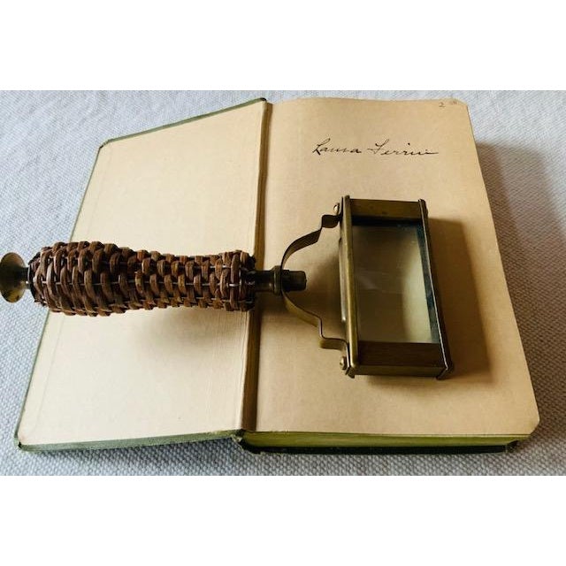 Antique Field Book of Common Ferns - 1928 First Edition For Sale - Image 12 of 14