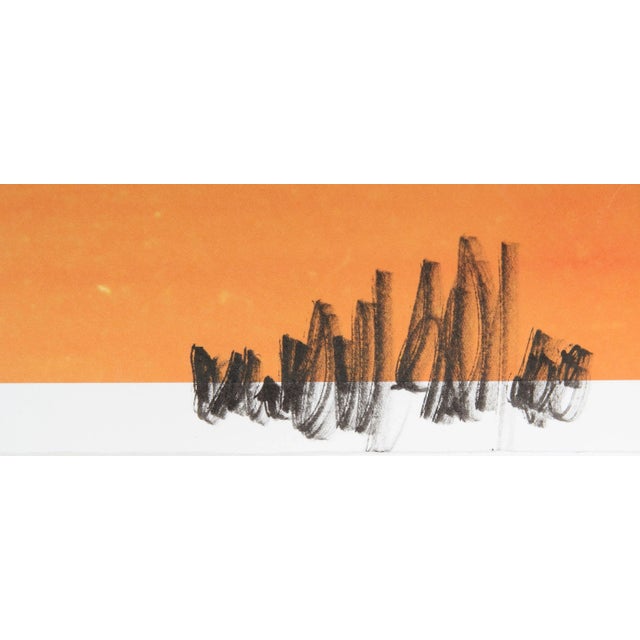 Photorealism Bird of Paradise, Jonathan Singer, Photograph For Sale - Image 3 of 5