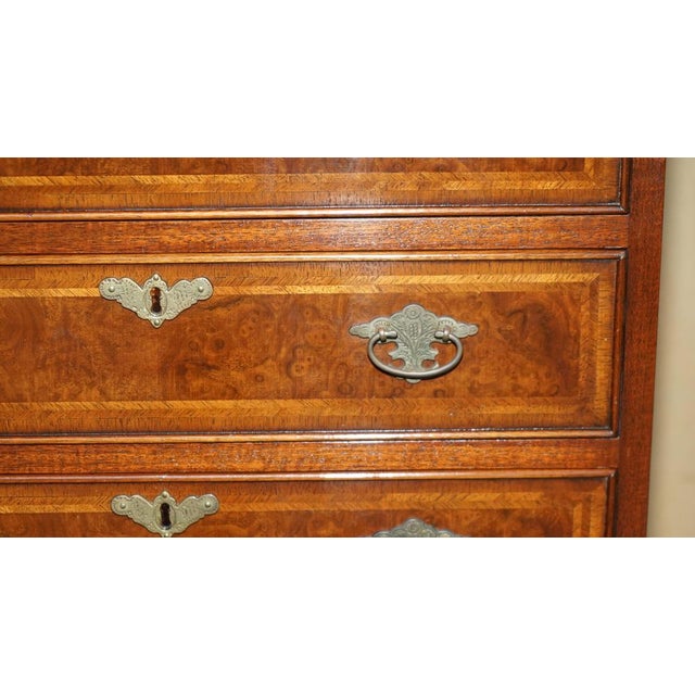 Burr Walnut Tallboy Chest of 10 Drawers For Sale - Image 11 of 18