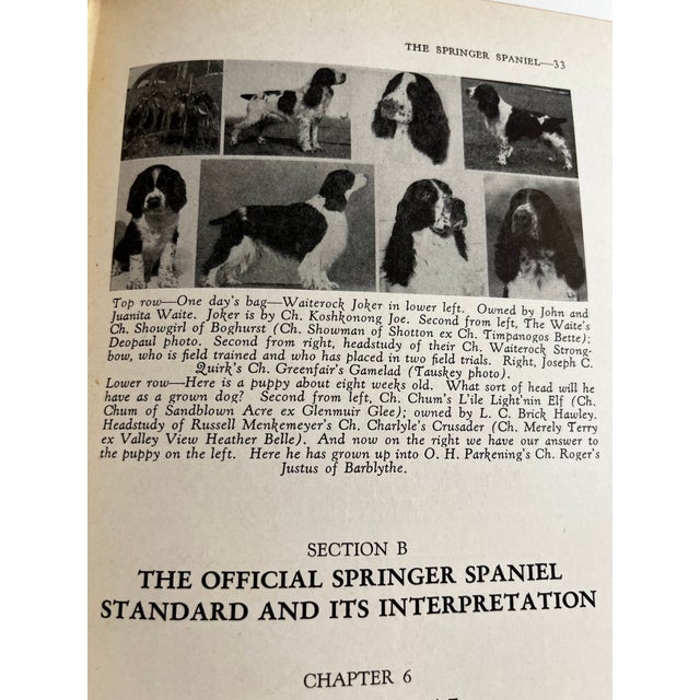 1951 the Springer Spaniel by Maxwell Riddle Book | Chairish