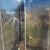 Vintage Chinese Black Lacquer 4-Panel Folding Screen, Hand-Painted Chinoiserie Room Divider For Sale - Image 10 of 10
