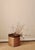 Large Italian Rattan and Brass Planter, 1970s For Sale - Image 4 of 4