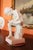 The original is located in the Palazzo dei Conservatori - statue by Fedelin - Hellenistic period (1st century BC). Statue...