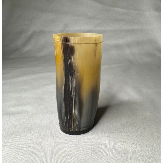 Black Pair of Rustic European Horn Vases For Sale - Image 8 of 12