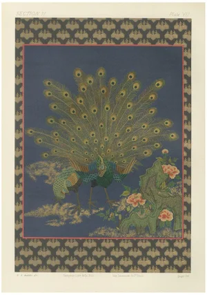 Peacocks in Full Plumage, 1880s, Paper